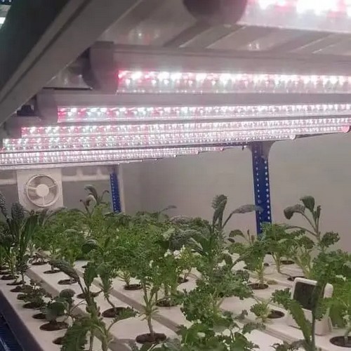 {当前产品的产品关键词轮巡使用}